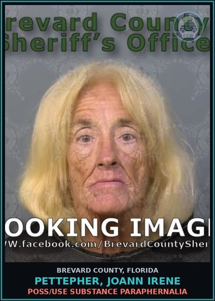 CCW arrest card for Pettepher, Joann Irene in Brevard County: Poss/Use Drug Paraphernalia