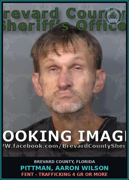 CCW arrest card for Pittman, Aaron Wilson in Brevard County: Fent - Trafficking 4 Gr or more