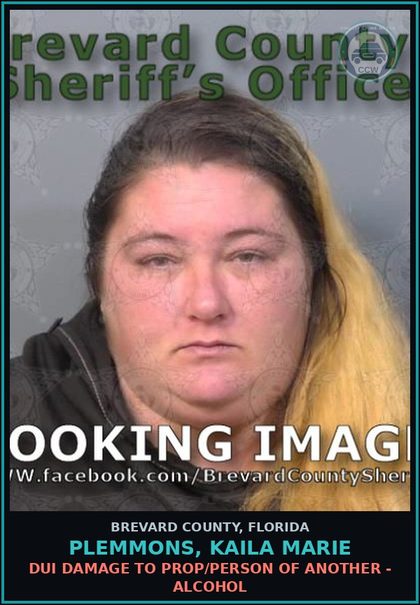 CCW arrest card for PLEMMONS, KAILA MARIE in Brevard County: DUI Damage to Prop/Person of Another - Alcohol