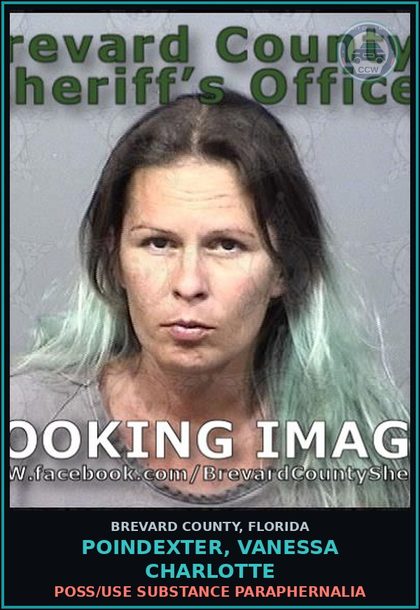 CCW arrest card for Poindexter, VANESSA CHARLOTTE in Brevard County: Poss/Use Drug Paraphernalia
