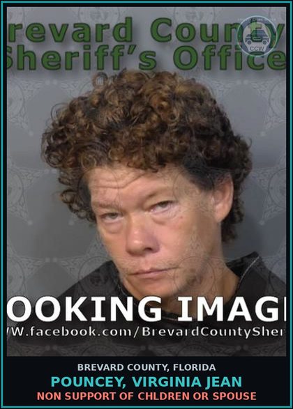 CCW arrest card for Pouncey, Virginia Jean in Brevard County: Non Support of Children or Spouse