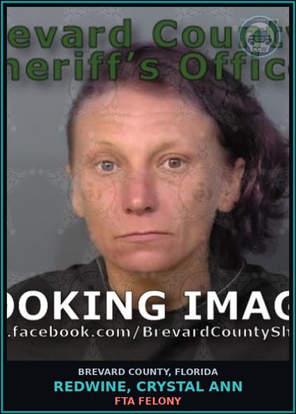 CCW arrest card for REDWINE, CRYSTAL ANN in Brevard County: FTA Felony
