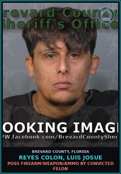 CCW arrest card for REYES COLON, LUIS JOSUE in Brevard County: Poss Firearm/Weapon/Ammo by Convicted Felon