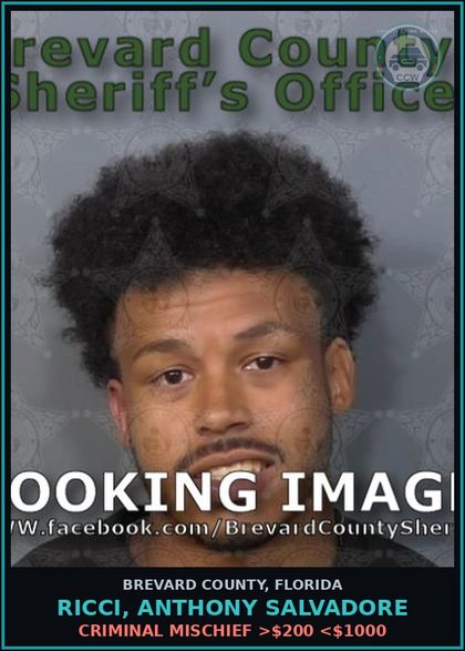 CCW arrest card for Ricci, Anthony Salvadore in Brevard County: Criminal Mischief >$200 <$1000