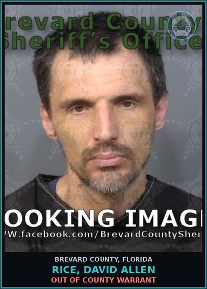 CCW arrest card for RICE, DAVID ALLEN in Brevard County: Out of County Warrant