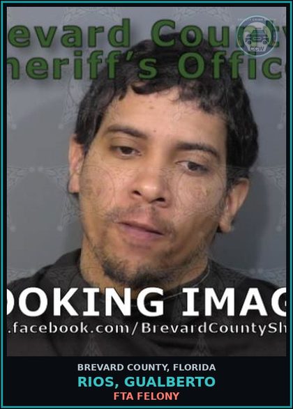 CCW arrest card for RIOS, GUALBERTO in Brevard County: VOP