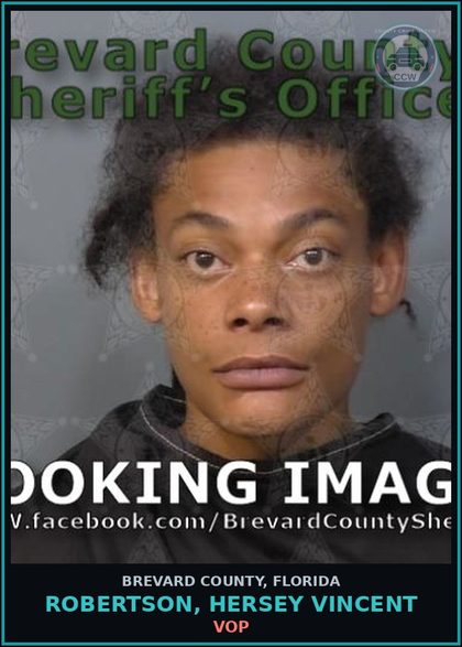 CCW arrest card for ROBERTSON, HERSEY VINCENT in Brevard County: VOP