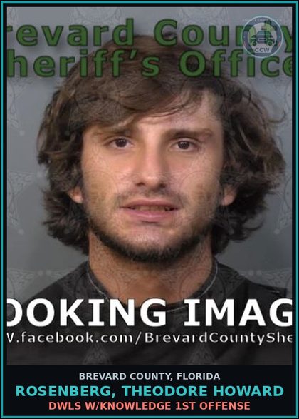 CCW arrest card for ROSENBERG, THEODORE HOWARD in Brevard County: DWLS W/Knowledge 1st Offense
