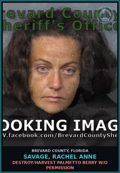 CCW arrest card for SAVAGE, RACHEL ANNE in Brevard County: Destroy/Harvest Palmetto Berry W/O Permission