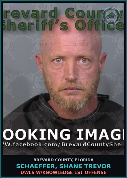 CCW arrest card for Schaeffer, Shane Trevor in Brevard County: DWLS W/Knowledge 1st Offense
