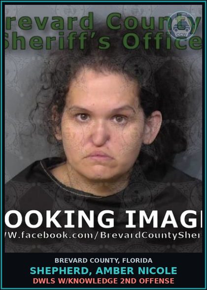CCW arrest card for Shepherd, Amber Nicole in Brevard County: DWLS W/Knowledge 2nd Offense