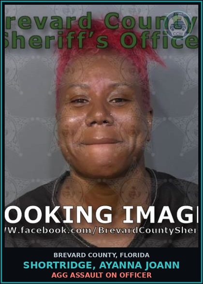 CCW arrest card for SHORTRIDGE, AYANNA JOANN in Brevard County: DUI - Alcohol