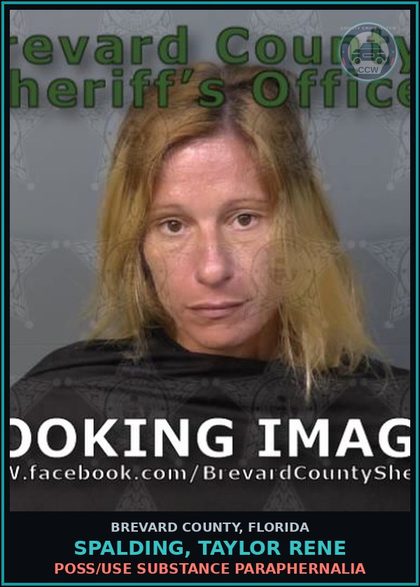 CCW arrest card for SPALDING, TAYLOR RENE in Brevard County: Poss/Use Drug Paraphernalia