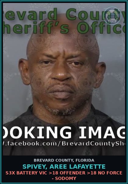CCW arrest card for Spivey, Aree Lafayette in Brevard County: s3x Battery Victim >18 Offender >18 No Force - Sodomy