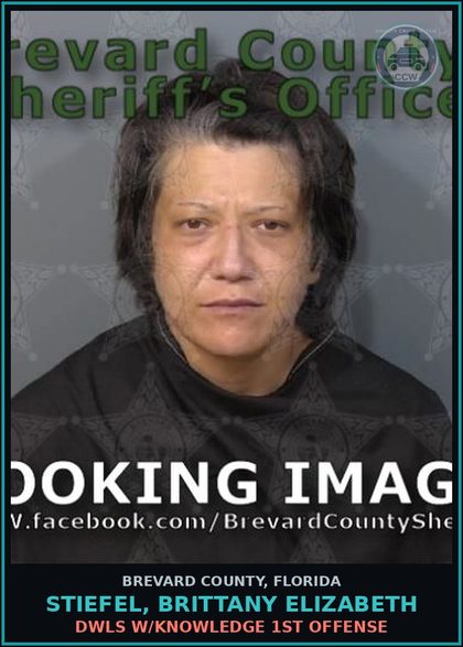 CCW arrest card for STIEFEL, BRITTANY ELIZABETH in Brevard County: DWLS W/Knowledge 1st Offense