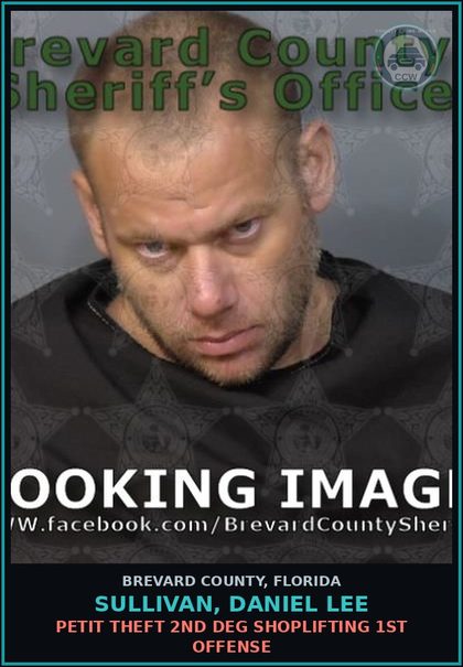 CCW arrest card for SULLIVAN, DANIEL LEE in Brevard County: Petit Theft 2nd Deg Shoplifting 1st Offense