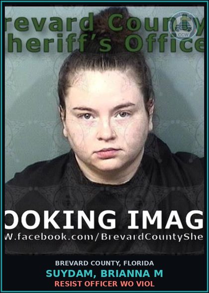 CCW arrest card for SUYDAM, BRIANNA M in Brevard County: DWLS W/Knowledge 1st Offense