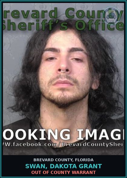 CCW arrest card for Swan, Dakota Grant in Brevard County: Out of County Warrant
