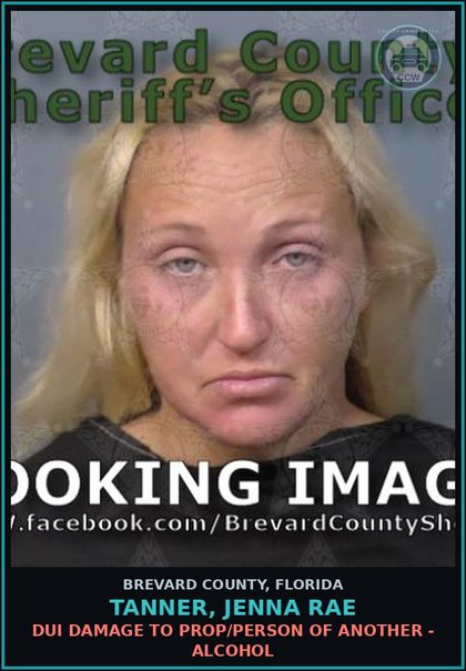 CCW arrest card for Tanner, Jenna Rae in Brevard County: Leave Scene Crash w/Prop Damage