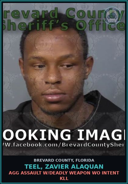CCW arrest card for Teel, Zavier Alaquan in Brevard County: Discharge Firearm in Public