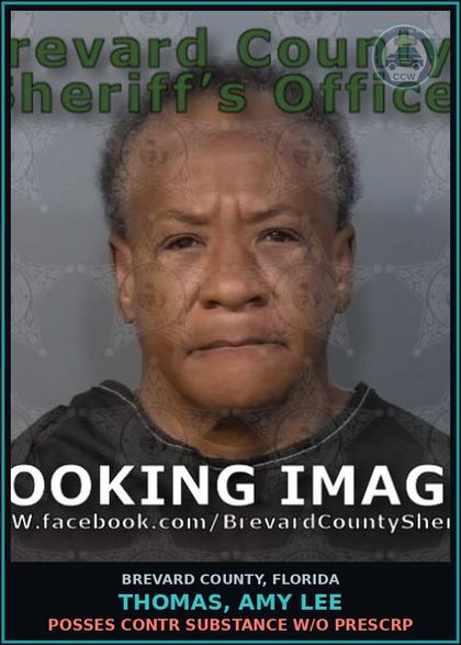 CCW arrest card for Thomas, Amy Lee in Brevard County: Posses contr substance w/o Prescription