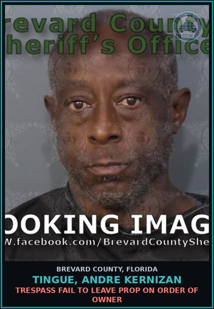 CCW arrest card for Tingue, Andre Kernizan in Brevard County: Trespass Fail to Leave Prop on Order of Owner