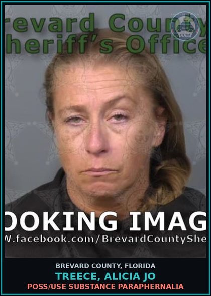 CCW arrest card for TREECE, ALICIA JO in Brevard County: Poss/Use Drug Paraphernalia