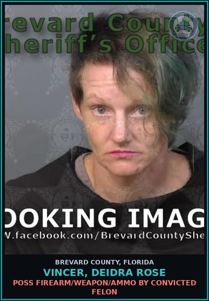 CCW arrest card for Vincer, Deidra Rose in Brevard County: Petit Theft 1st Deg Shoplifting 2nd Offense