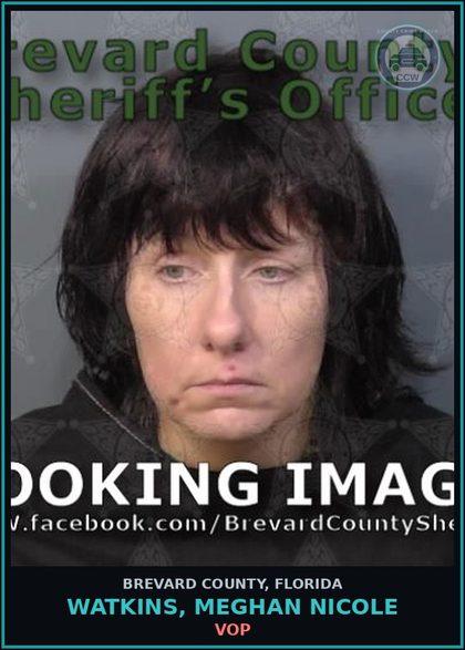 CCW arrest card for Watkins, Meghan Nicole in Brevard County: VOP