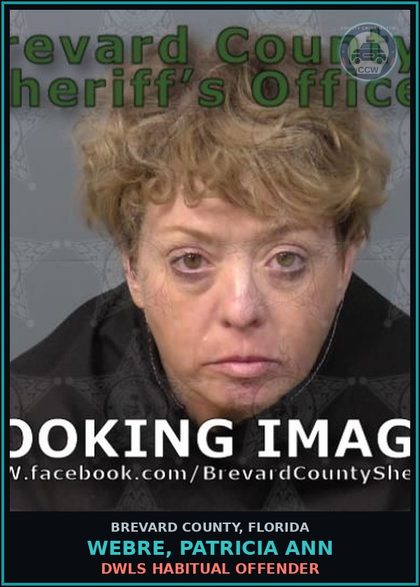 CCW arrest card for WEBRE, PATRICIA ANN in Brevard County: DWLS Habitual Offender