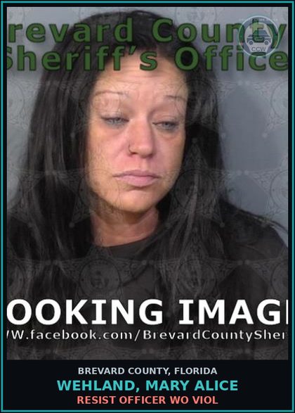 CCW arrest card for Wehland, Mary Alice in Brevard County: Leave Scene Crash w/Prop Damage