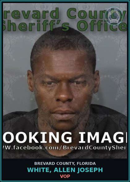 CCW arrest card for White, Allen Joseph in Brevard County: VOP