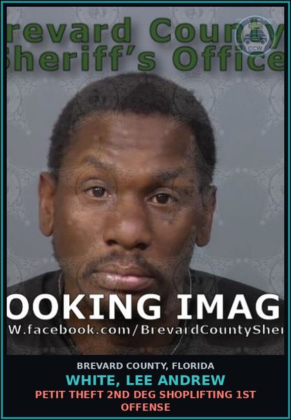 CCW arrest card for WHITE, LEE ANDREW in Brevard County: Petit Theft 2nd Deg Shoplifting 1st Offense