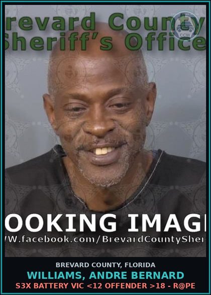 CCW arrest card for Williams, Andre Bernard in Brevard County: s3x Battery Victim <12 Offender >18 - r@pe