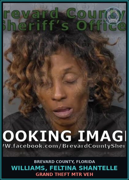 CCW arrest card for WILLIAMS, FELTINA SHANTELLE in Brevard County: Grand Theft Mtr Veh