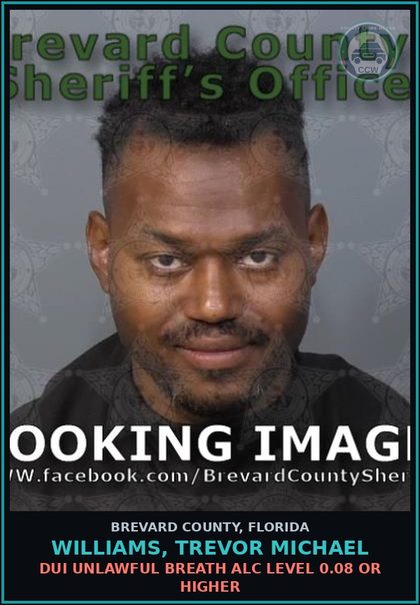 CCW arrest card for WILLIAMS, TREVOR MICHAEL in Brevard County: DUI Unlawful Breath Alc Level 0.08 or Higher