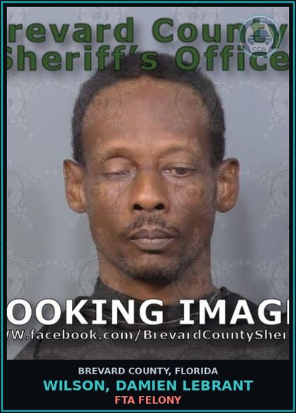 CCW arrest card for Wilson, Damien Lebrant in Brevard County: FTA Felony