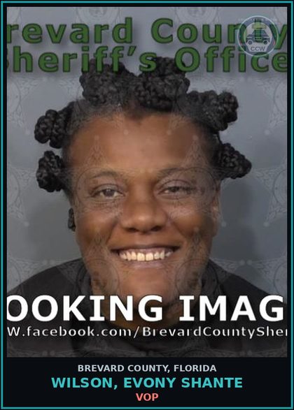 CCW arrest card for Wilson, Evony Shante in Brevard County: VOP