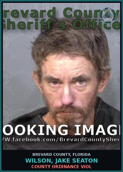 CCW arrest card for Wilson, Jake Seaton in Brevard County: COUNTY ORDINANCE VIOL