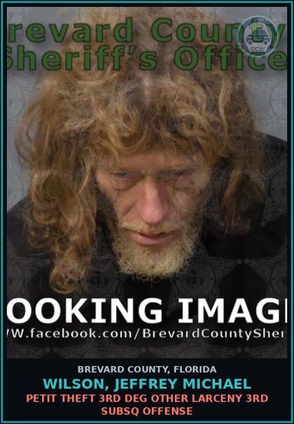 CCW arrest card for WILSON, JEFFREY MICHAEL in Brevard County: Resist Officer WO Viol