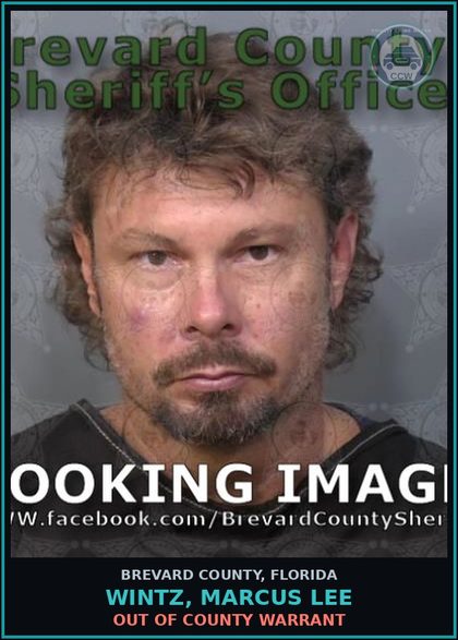 CCW arrest card for WINTZ, MARCUS LEE in Brevard County: Out of County Warrant