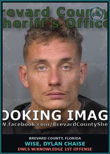 CCW arrest card for WISE, DYLAN CHAISE in Brevard County: DWLS W/Knowledge 1st Offense