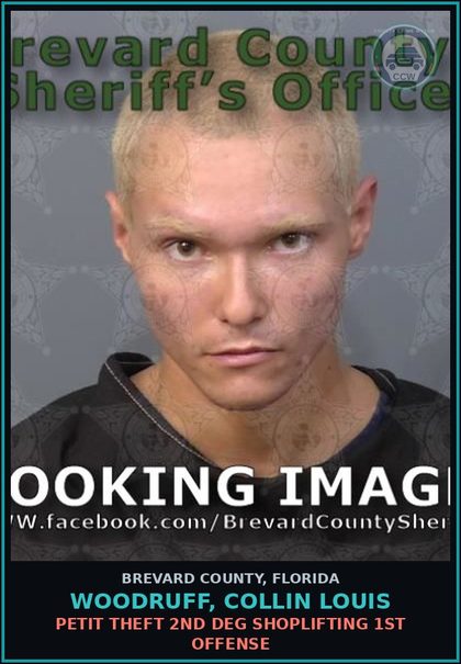 CCW arrest card for WOODRUFF, COLLIN LOUIS in Brevard County: Petit Theft 2nd Deg Shoplifting 1st Offense