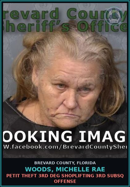CCW arrest card for Woods, Michelle Rae in Brevard County: Petit Theft 3rd Deg Shoplifting 3rd Subsq Offense
