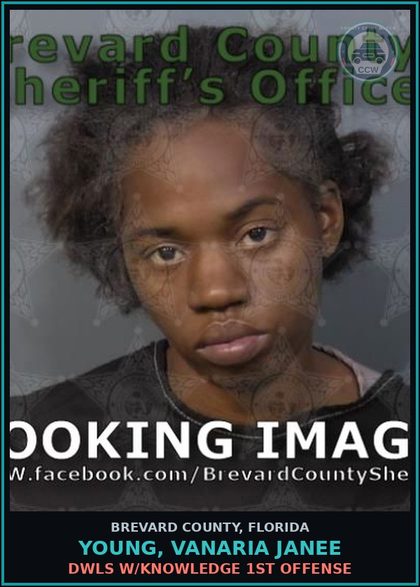 CCW arrest card for YOUNG, VANARIA JANEE in Brevard County: DWLS W/Knowledge 1st Offense