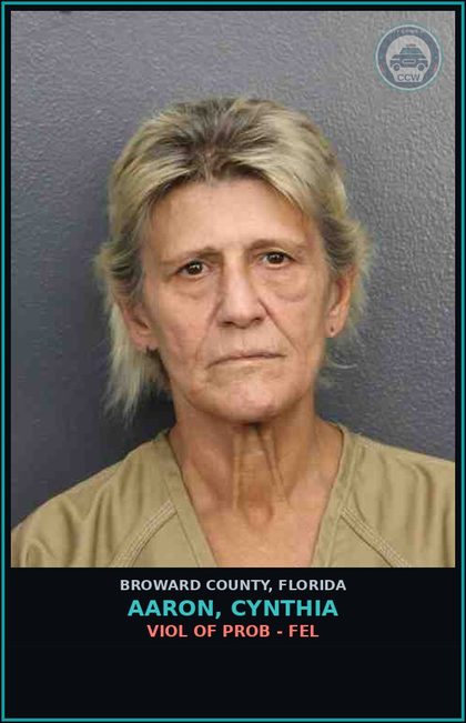 CCW arrest card for AARON, CYNTHIA in Broward County: VIOL OF PROB - FEL