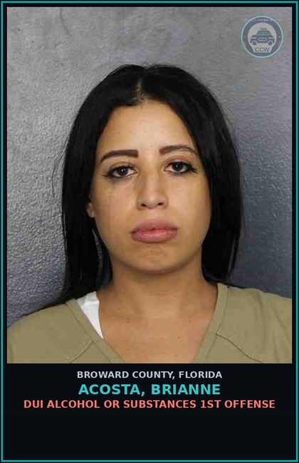 CCW arrest card for ACOSTA, BRIANNE in Broward County: DUI ALCOHOL OR DRUGS  1ST OFFENSE