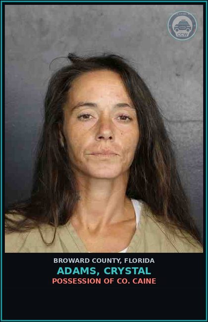 CCW arrest card for ADAMS, CRYSTAL in Broward County: POSSESSION OF COCAINE