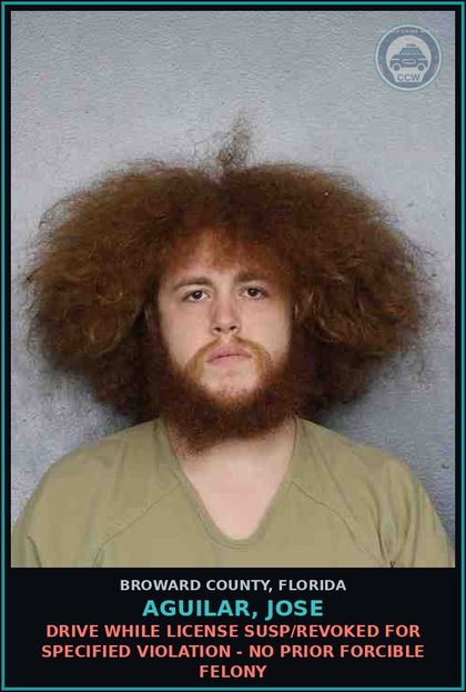 CCW arrest card for AGUILAR, JOSE in Broward County: DRIVE WHILE LICENSE SUSP/REVOKED FOR SPECIFIED VIOLATION - NO PRIOR FORCIBLE FELONY
