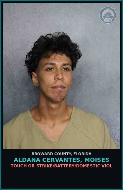 CCW arrest card for ALDANA CERVANTES, MOISES in Broward County: TOUCH OR STRIKE/BATTERY/DOMESTIC VIOL